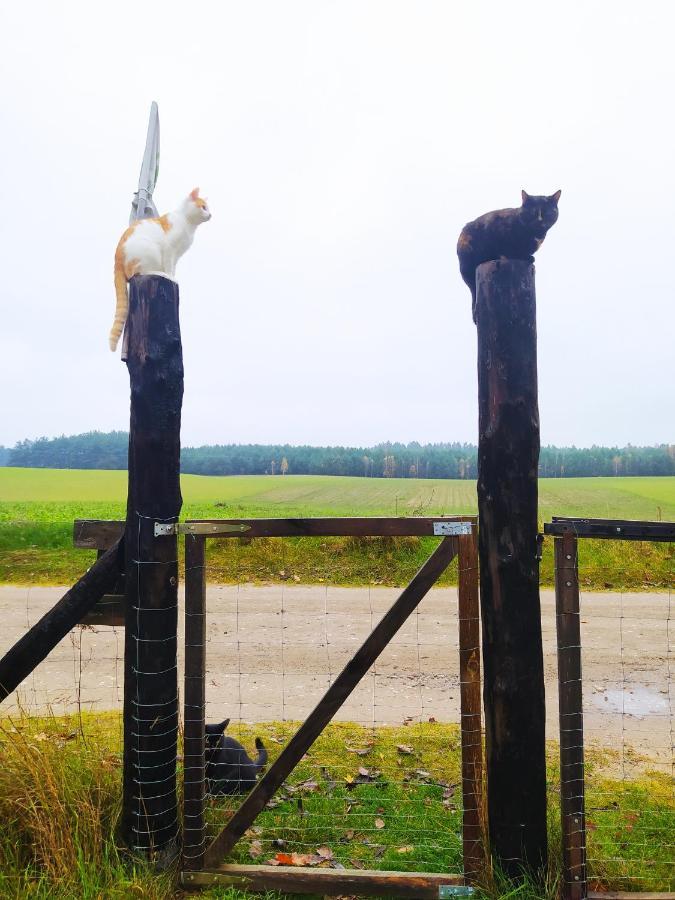Privatunterkunft Lesna Kryjowka *